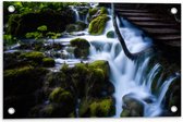 WallClassics - Tuinposter – Brug boven Waterval - 60x40 cm Foto op Tuinposter  (wanddecoratie voor buiten en binnen)