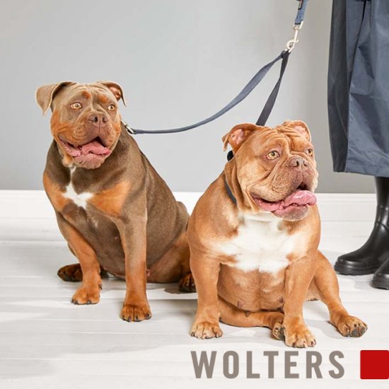 Wolters Professional Doppel-Koppel - Für 2 Hunde In Graphit, 30cm X 10mm