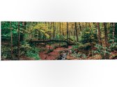 WallClassics - Panneau en mousse PVC - Arbres tombés sur la rivière - Photo 90x30 cm sur panneau en mousse PVC (avec système de suspension)