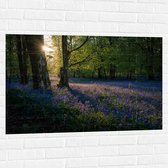 WallClassics - Muursticker - Zonnetje Schijnend op Lavendel  - 105x70 cm Foto op Muursticker