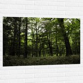 WallClassics - Muursticker - Alleenmaar Groen in het Bos - 120x80 cm Foto op Muursticker