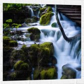 WallClassics - Sticker Muursticker - Pont au-dessus de la Cascade - 80x80 cm Photo sur Sticker Muursticker