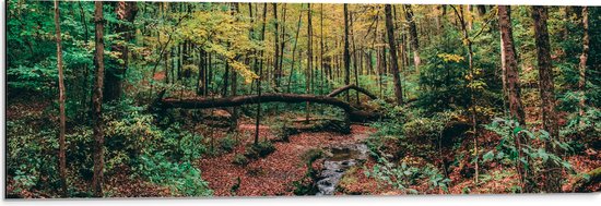 WallClassics - Dibond - Omgevallen bomen over Rivier - 90x30 cm Foto op Aluminium (Met Ophangsysteem)