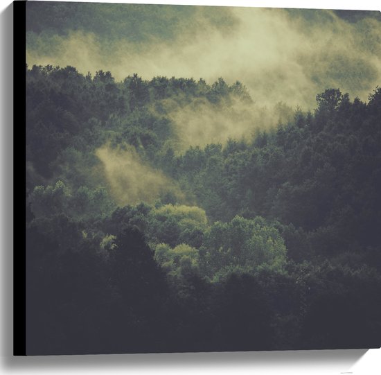 WallClassics - Canvas  - Mist boven Boomtoppen - 60x60 cm Foto op Canvas Schilderij (Wanddecoratie op Canvas)