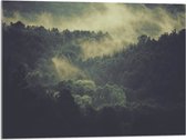 WallClassics - Acrylglas - Mist boven Boomtoppen - 80x60 cm Foto op Acrylglas (Wanddecoratie op Acrylaat)