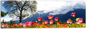 WallClassics - Tuinposter – Felgekleurde Bloemen in het Veld met Berg en Boom - 90x30 cm Foto op Tuinposter  (wanddecoratie voor buiten en binnen)