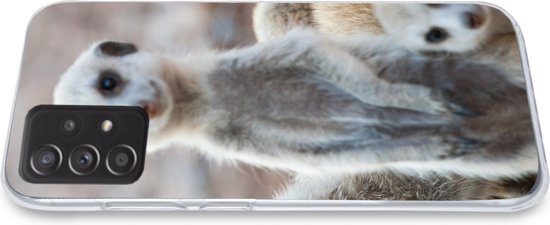 Convient pour la coque Samsung Galaxy A53 5G - Suricates curieux - Coque de téléphone en Siliconen
