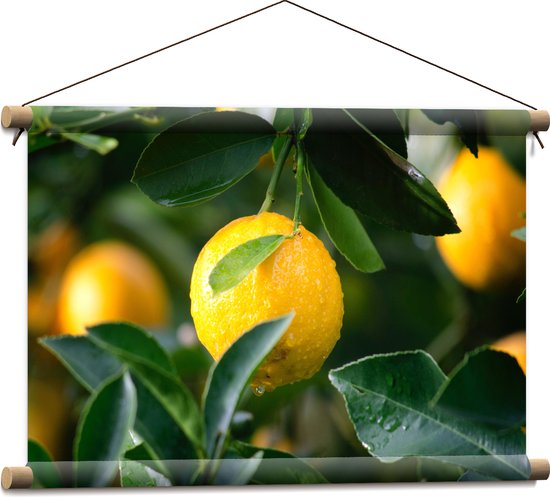 WallClassics - Affiche Textile - Fruits Jaunes sur Plante - 60x40 cm Photo sur Textile