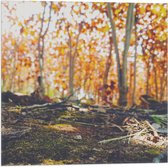 WallClassics - Drapeau - Branches tombées - 50x50 cm Photo sur Drapeau Polyester