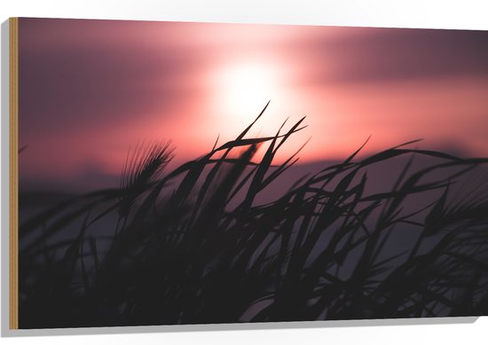 WallClassics - Hout - Donkere Grassen bij Rozekleurige Lucht - 105x70 cm - 12 mm dik - Foto op Hout (Met Ophangsysteem)