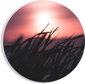 WallClassics - PVC Schuimplaat Muurcirkel - Donkere Grassen bij Rozekleurige Lucht - 20x20 cm Foto op Muurcirkel (met ophangsysteem)