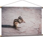 WallClassics - Textielposter - Etende Eekhoorn - 90x60 cm Foto op Textiel