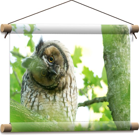 WallClassics - Affiche textile - Hibou fou dans un arbre - 40x30 cm Photo sur textile