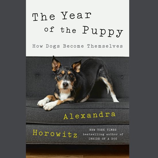 The Year of the Puppy - cover