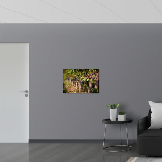 WallClassics - Poster (Mat) - Grappes de raisin - Photo 75x50 cm sur papier poster mat