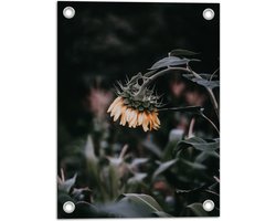 Foto: 