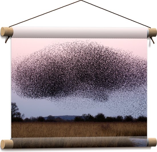 WallClassics - Textielposter - Grote Zwerm Vogels in de Lucht - 40x30 cm Foto op Textiel