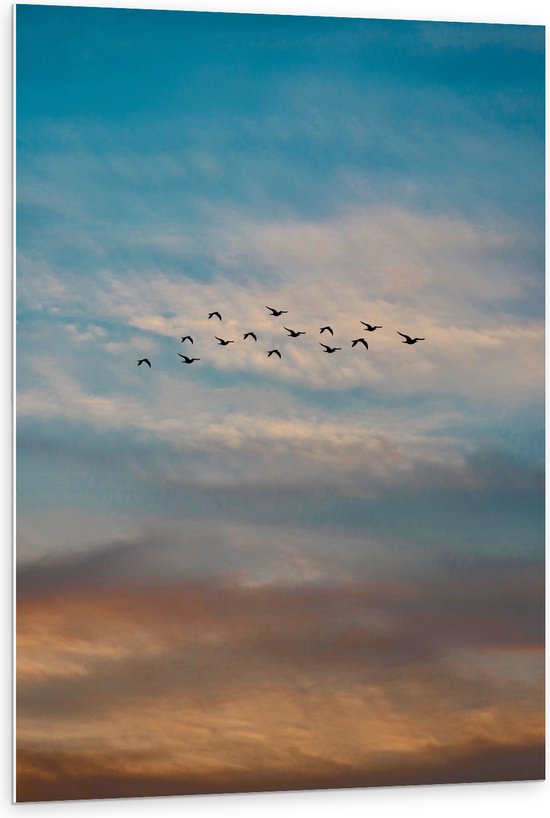 WallClassics - Plaque de Mousse PVC - Groupe Vogels Volants - 80x120 cm Photo sur Plaque de Mousse PVC