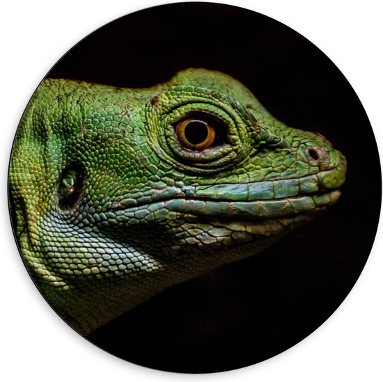 WallClassics - Dibond Muurcirkel - Groen Reptiel met Zwarte Achtergrond - 60x60 cm Foto op Aluminium Muurcirkel (met ophangsysteem)