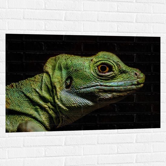 WallClassics - Muursticker - Groen Reptiel met Zwarte Achtergrond - 105x70 cm Foto op Muursticker