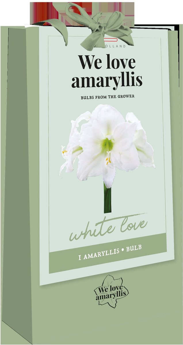 Amaryllis Wit Geschenktas | nieuwe oogst | grote bol | meerdere bloemstelen | vroegbloeier | grote bloemen l Cadeau l Kerstcadeau I Garden Select