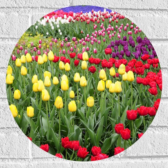 WallClassics - Muursticker Cirkel - Gekleurde Tulpen Velden - 40x40 cm Foto op Muursticker