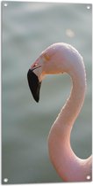 WallClassics - Tuinposter – Gezicht van Roze FLamingo - 50x100 cm Foto op Tuinposter  (wanddecoratie voor buiten en binnen)