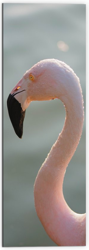 WallClassics - Dibond - Gezicht van Roze FLamingo - 50x150 cm Foto op Aluminium (Wanddecoratie van metaal)