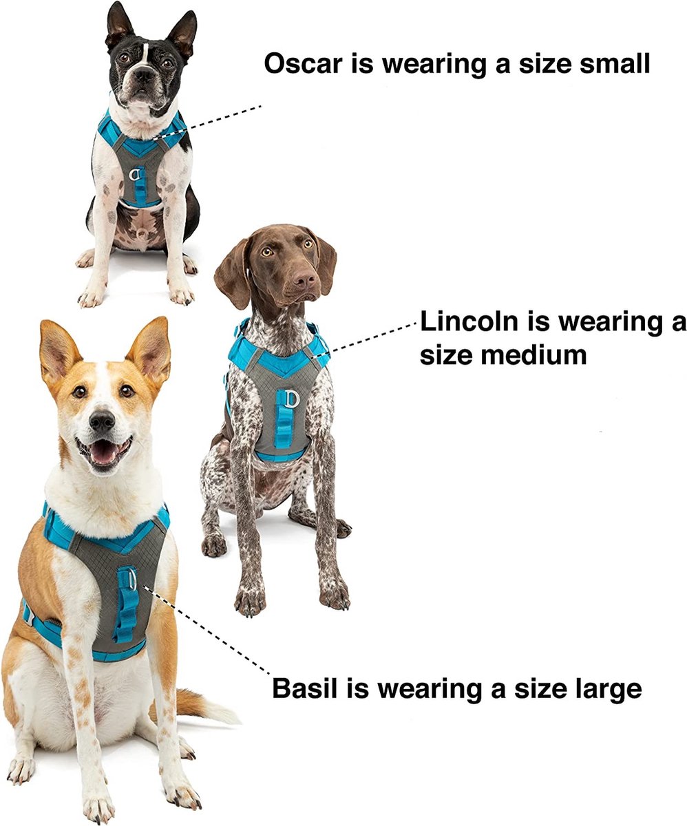 Kurgo - Journey Air Harness - Meerdere maten