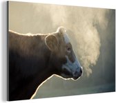 Vache au lever du soleil Aluminium 180x120 cm - Tirage photo sur Aluminium (décoration murale métal) XXL / Groot format!