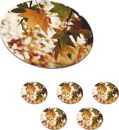 Onderzetters voor glazen - Rond - Natuur - Herfstbladeren - Landelijk - 10x10 cm - Glasonderzetters - 6 stuks