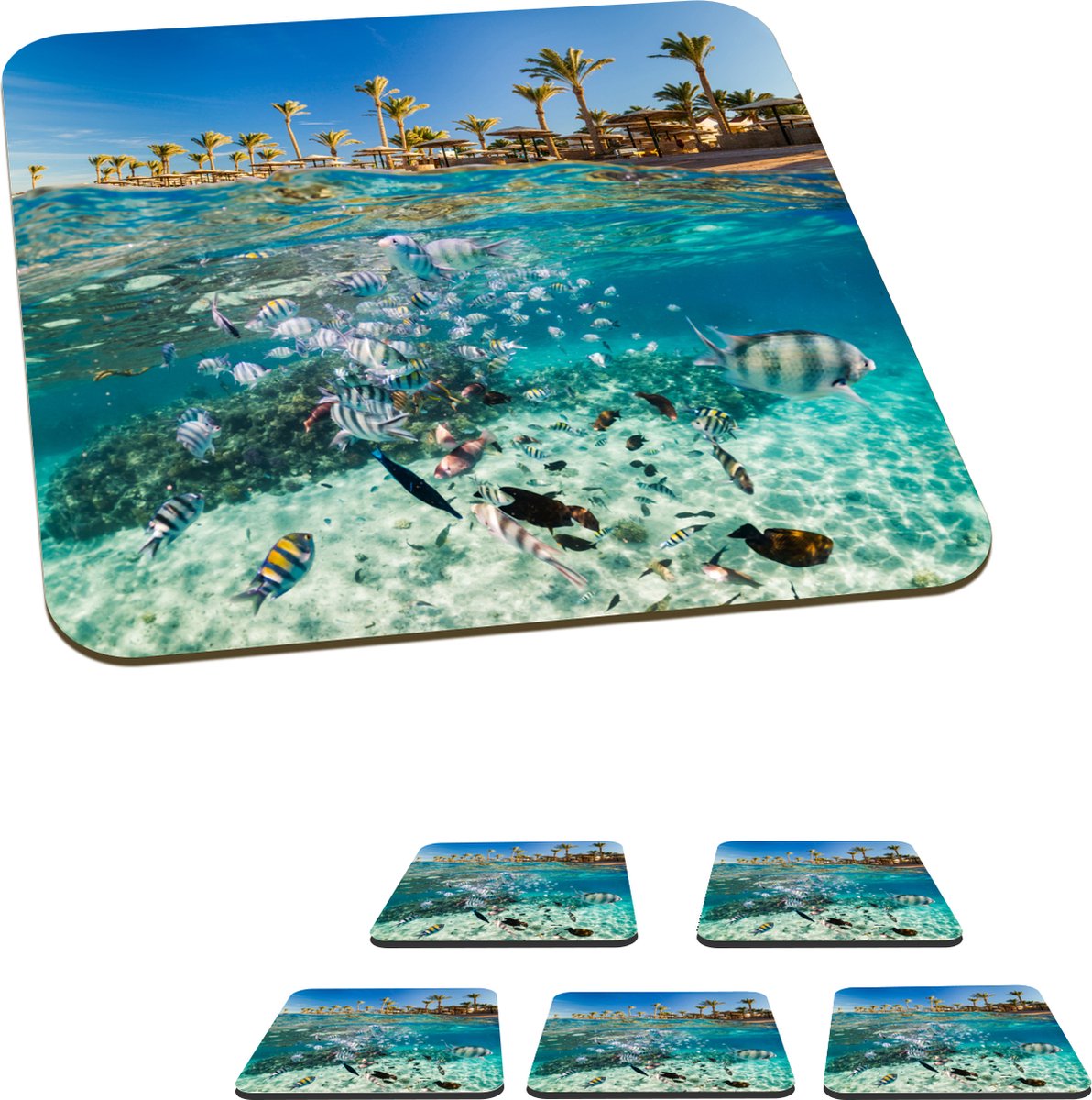 Onderzetters voor glazen - Zee - Vissen - Egypte - 10x10 cm - Glasonderzetters - 6 stuks