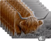 Set de table - Scottish Highlander - Fleurs - Vache - 45x30 cm - 6 pièces
