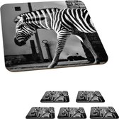 Onderzetters voor glazen - Zebra - Muur - Deur - Dieren - Zwart wit - 10x10 cm - Glasonderzetters - 6 stuks