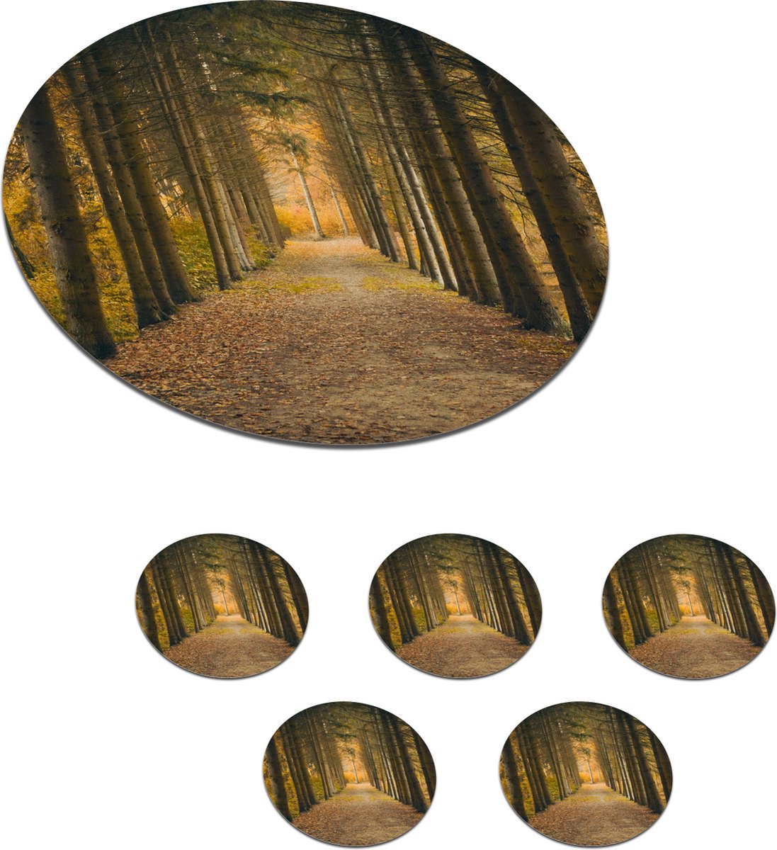 Onderzetters voor glazen - Rond - Pad - Bomen - Bos - 10x10 cm - Glasonderzetters - 6 stuks
