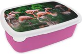 Broodtrommel Roze - Lunchbox - Brooddoos - Flamingo - Tropisch - Vogel - Water - Roze - 18x12x6 cm - Kinderen - Meisje