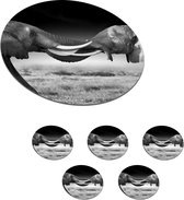 Onderzetters voor glazen - Rond - Olifant - Dieren - Zwart wit - Portret - Landschap - 10x10 cm - Glasonderzetters - 6 stuks