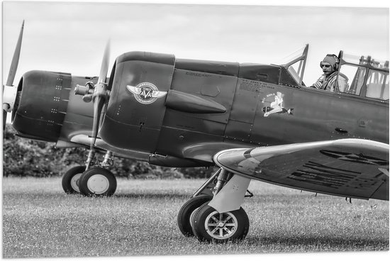 WallClassics - Drapeau - Pilote dans un Klein avion en noir/blanc - 75x50 cm Photo sur drapeau en polyester