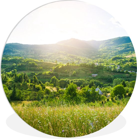 Cercle mural - Paysage - Herbe - Nature - Arbres - Décoration murale ronde - Cercle mural - Cercle mural nature - Tableau rond - 60x60 cm - Plastique - Tableaux ronds