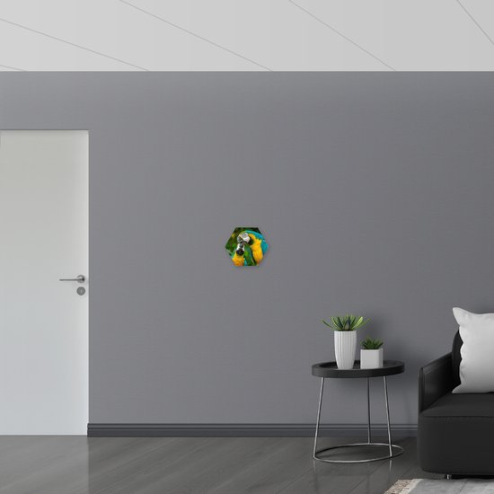 PVC Schuimplaat Hexagon - Twee Kussende Ara's - 30x26.1 cm Foto op Hexagon (Met Ophangsysteem)