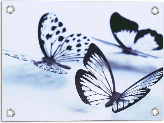 WallClassics - Tuinposter – Zwarte Vlinders op Witte Achtergrond - 40x30 cm Foto op Tuinposter  (wanddecoratie voor buiten en binnen)