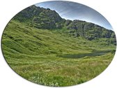 WallClassics - Dibond Ovaal - Bergen met Gras en Meertje - 68x51 cm Foto op Ovaal (Met Ophangsysteem)