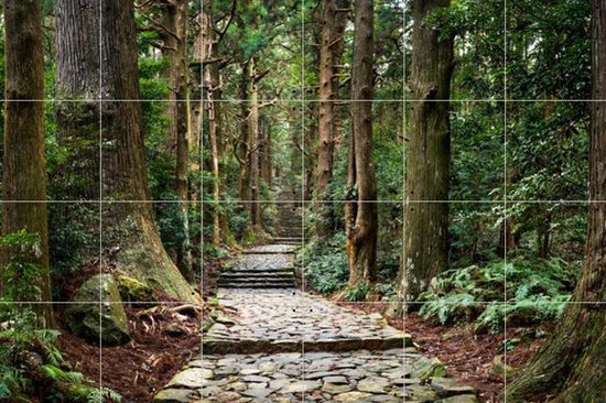 IXXI Kumano Kodo Pilgrimage Route - Wanddecoratie - Fotografie