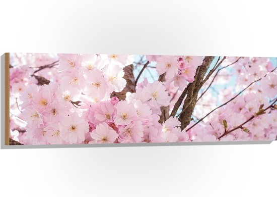 WallClassics - Bois - Fleurs Roses dans un Arbre - 120x40 cm - 12 mm d'épaisseur - Photo sur Bois (Avec Système d'accrochage)