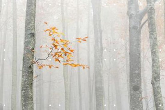 IXXI Autumn 2020 - Wanddecoratie - Winter - 60 x 40 cm