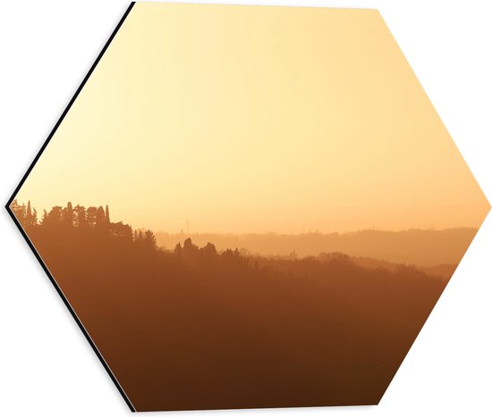 WallClassics - Dibond Hexagon - Mistig Heuvel Landschap met Opkomende Zon - 40x34.8 cm Foto op Hexagon (Met Ophangsysteem)