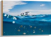 WallClassics - Hout - Scheiding van Water en Lucht - Vissen onder een Boot - 75x50 cm - 12 mm dik - Foto op Hout (Met Ophangsysteem)