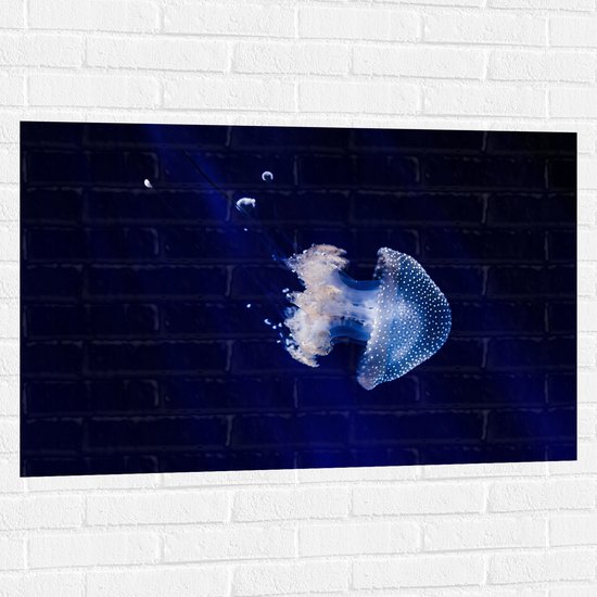 WallClassics - Muursticker - Witte Kwal onder Blauw Water - 105x70 cm Foto op Muursticker