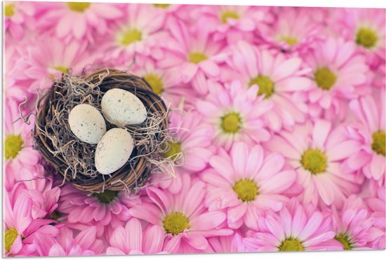 WallClassics - Acrylglas - Vogelnest op Roze Bloemen - 90x60 cm Foto op Acrylglas (Wanddecoratie op Acrylaat)