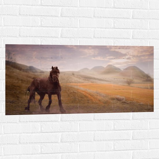 WallClassics - Muursticker - Zwart Paard in de Natuur - 100x50 cm Foto op Muursticker